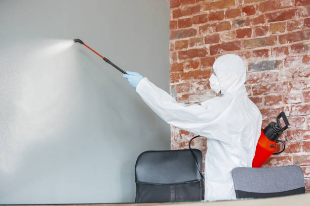Best Post-Construction Mold Inspection  in Eloy, AZ