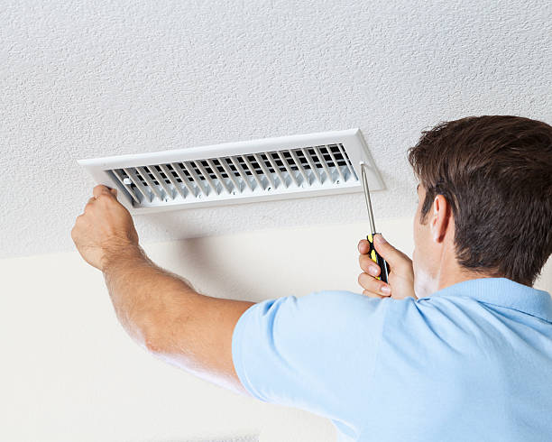 Mold Odor Removal Services in Eloy, AZ